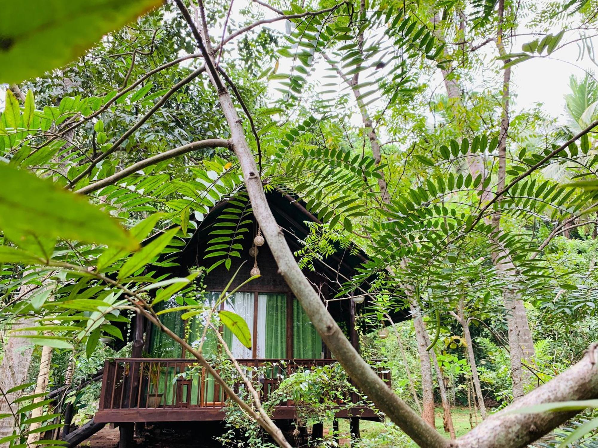 Nature World อุดาวาลาเว ห้อง รูปภาพ